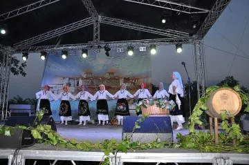 Продължава фестивалът „Дунавски вълни”