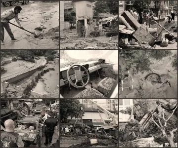  "Аспарухово": Безразборната сеч ни превърна в гробище