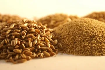 Данъчни следят корабите с жито