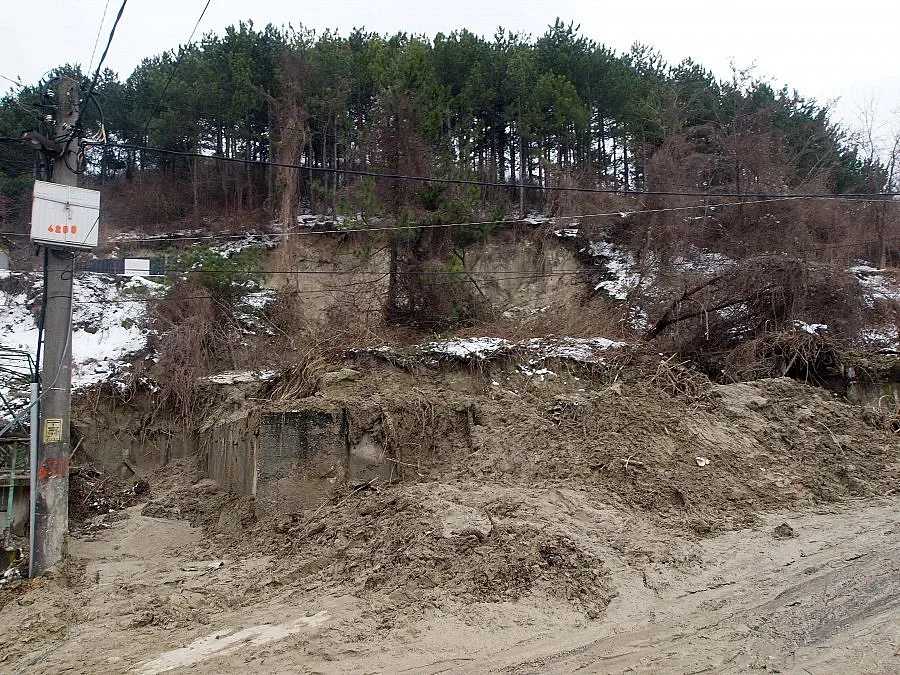 РДГ- Варна: Да! Сече се масово и незаконно