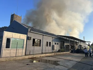 Зрелищно гори голям завод на фирма за ядки в Карнобат