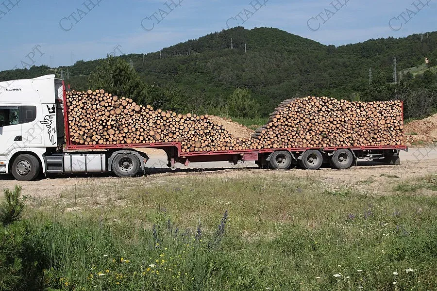 Следят с чип дървесината