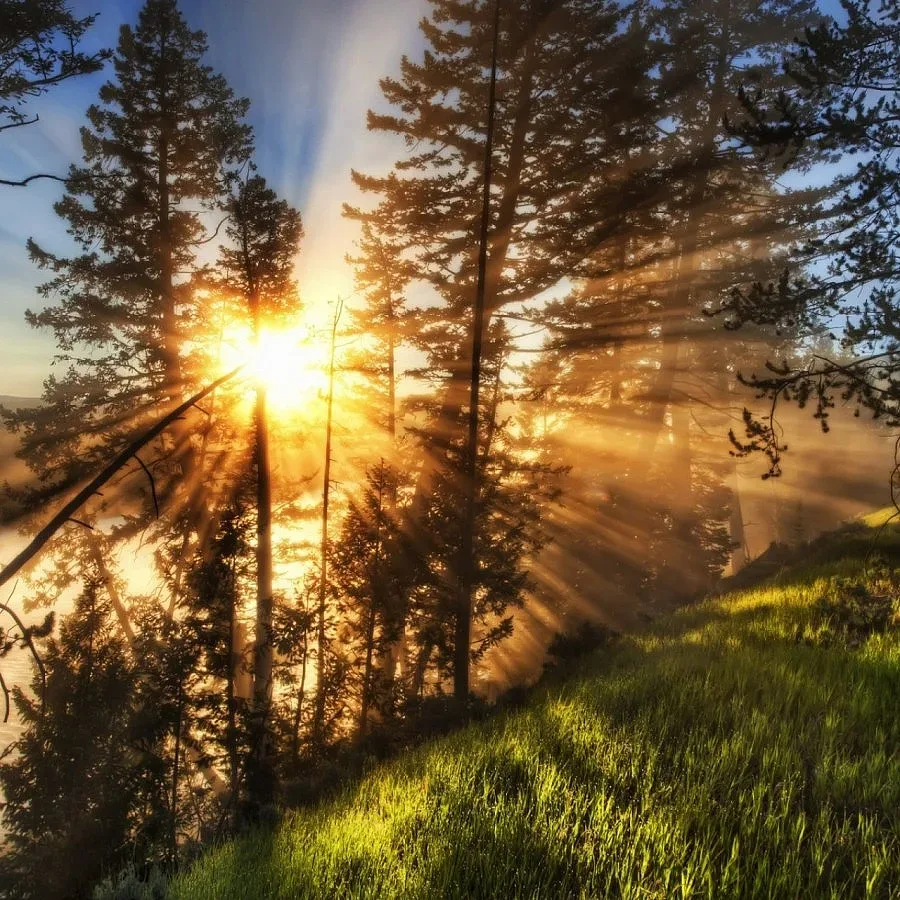 За втори път July Morning на Витоша