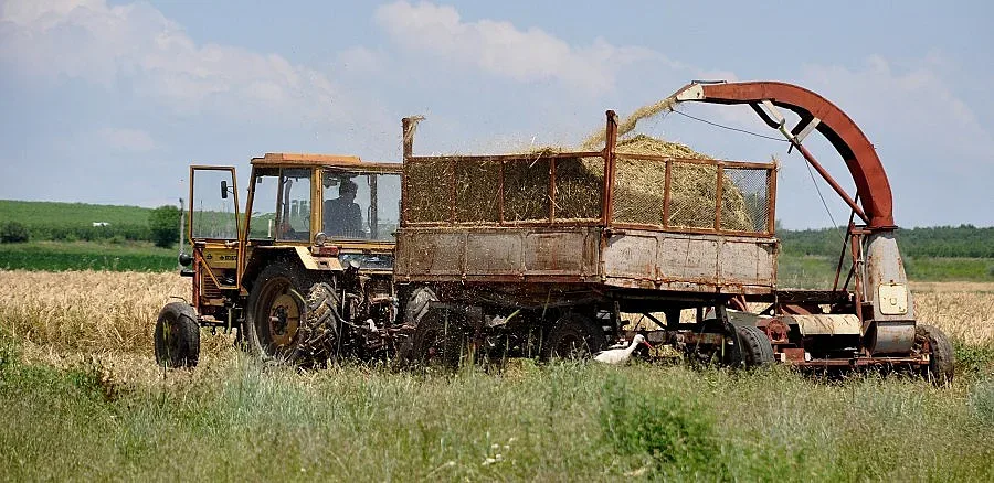 Жътвата в хасковско с отложен старт заради дъждовете