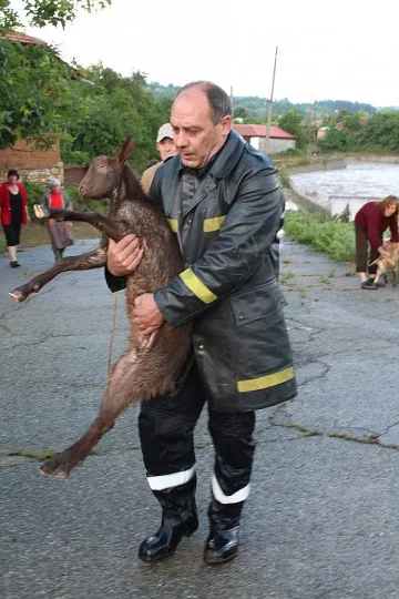 Пороен дъжд заля село Турия