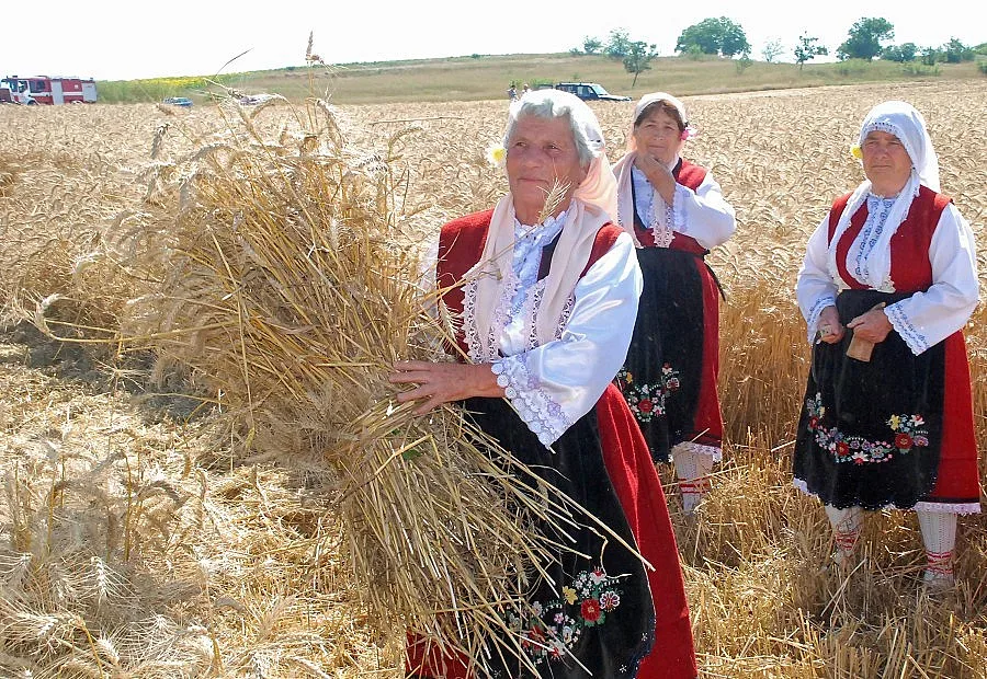 Данъчни следят корабите с жито