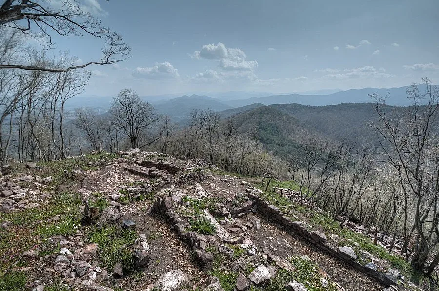 Борòвец е пазил пътя към София