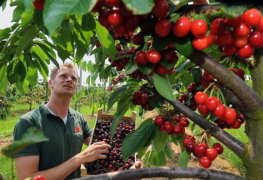 Пороят надува цените