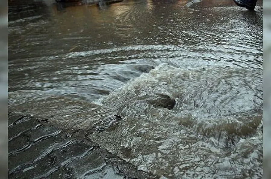 Порой удави Сатовча