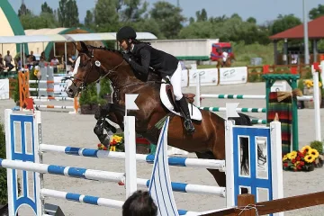 Двама българи в топ 3 от Световната купа по конен спорт