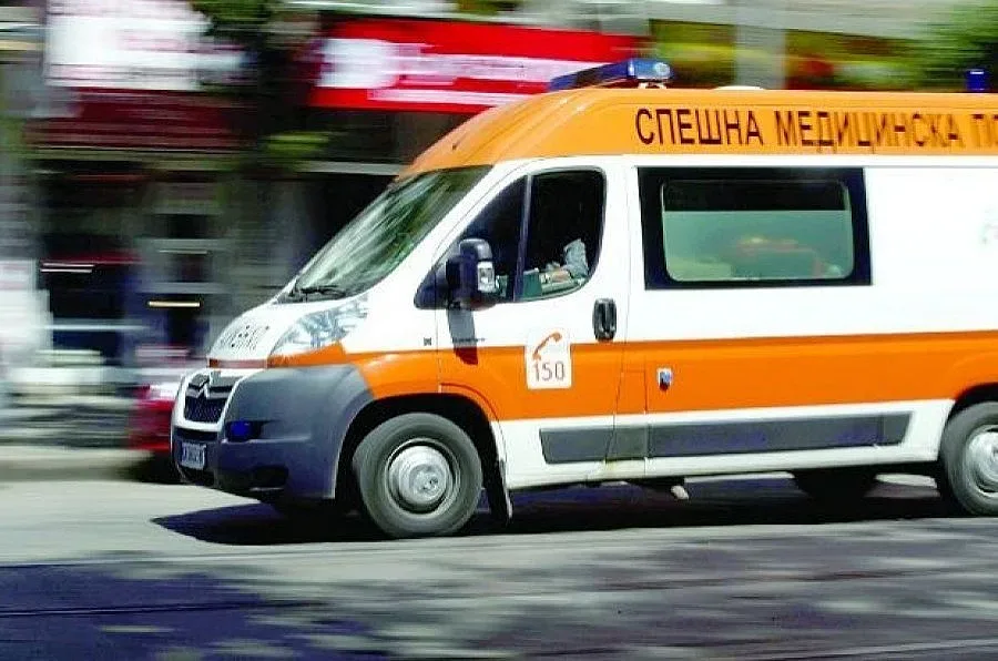 Дърво рани трима в Морската градина във Варна