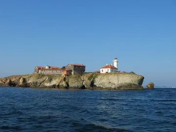 Рачков: Гласувайте за Св. Анастасия