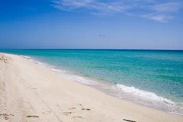 5 безстопанствени плажа ще имат спасителни постове