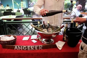 София посреща най-добрите австрийски вина за 7-и път