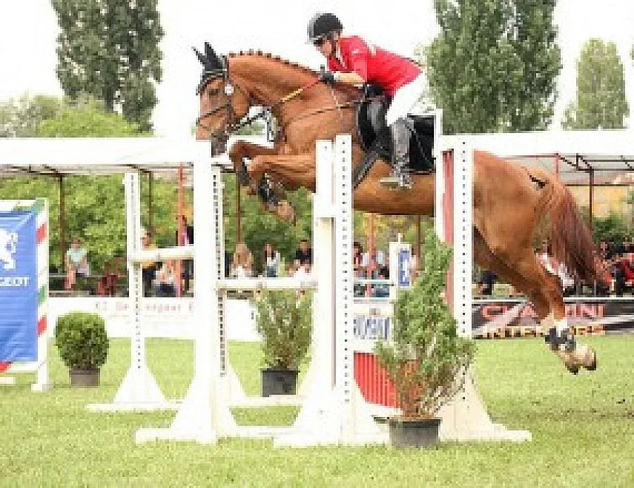 100 коня делят 43 000 евро в Божурище