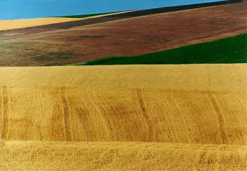 Гражданска инициатива алармира за нова опасност в Добруджа