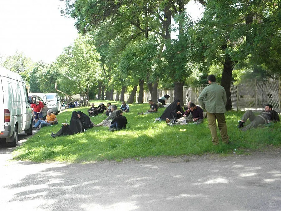 Перник гони Салма Хайек