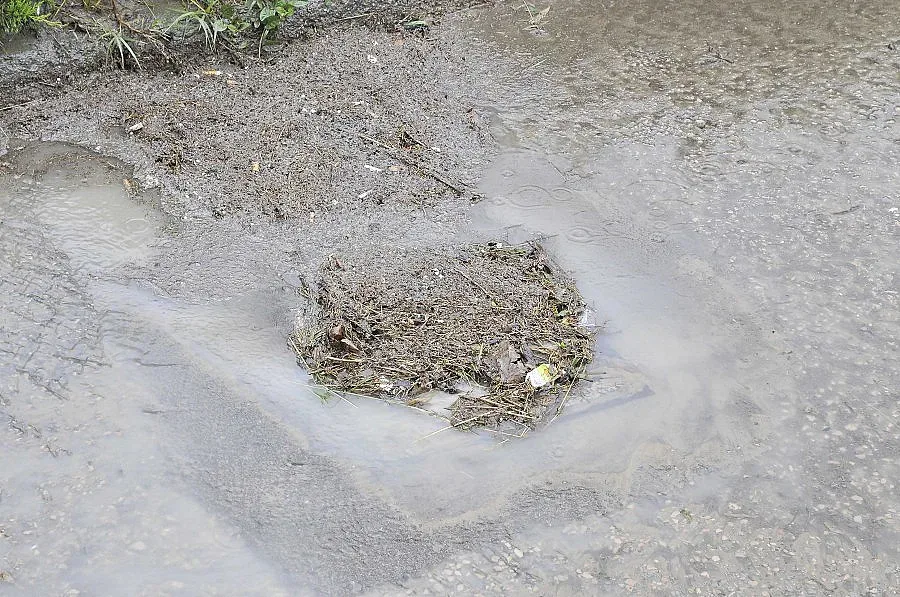 Дъжд удави Добричко, градушка съсипа посеви и градини