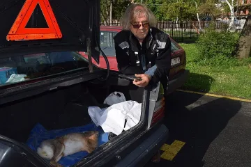 Диви зайци измират от туларемия в Смолянско