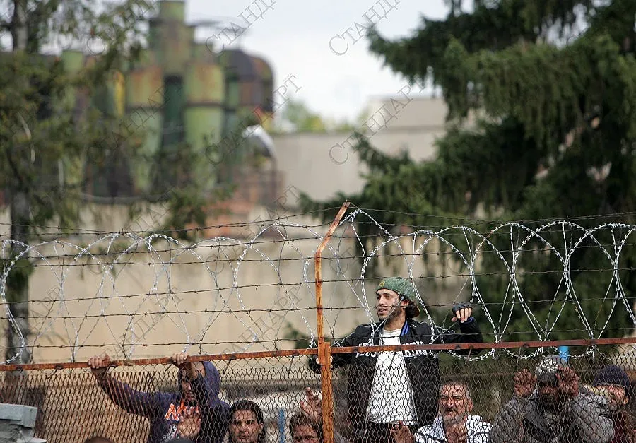 Затворници търсят инвеститор да ги спаси от безработицата