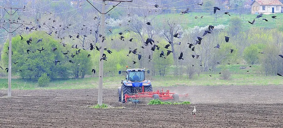Отказват ваучери за гориво заради страх от ментета