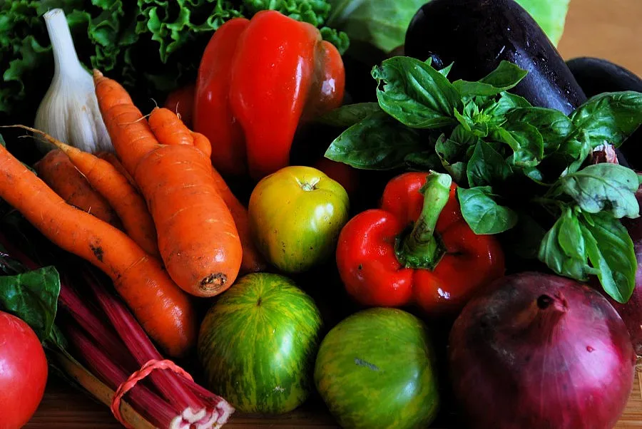 150 заявления за окачествяване подадоха зеленчукопроизводители от Пиринско