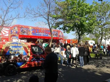 Тони си слага главата в пастта на алигатор