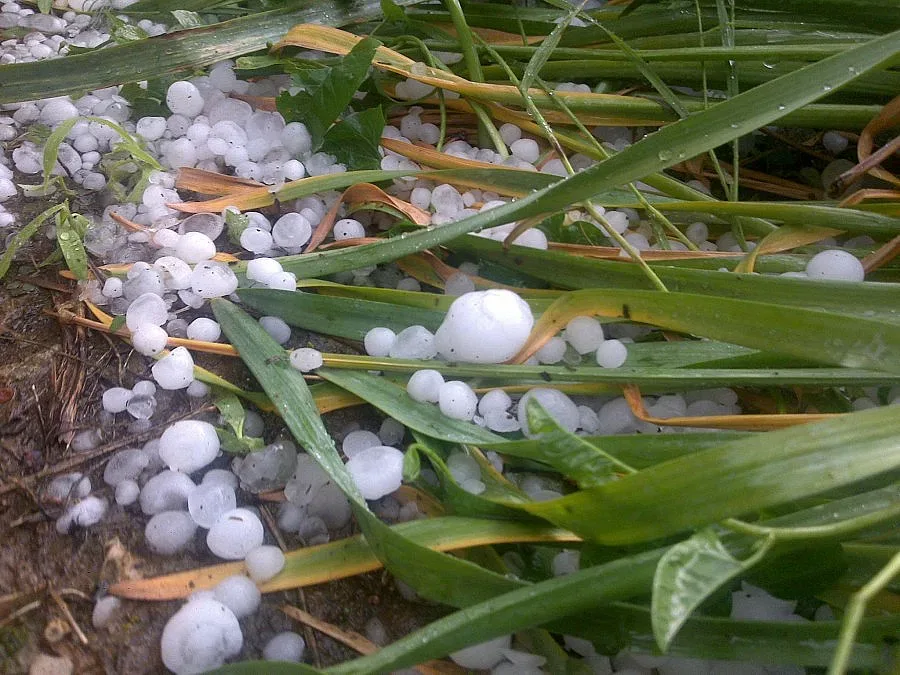 Градушка удари Провадия