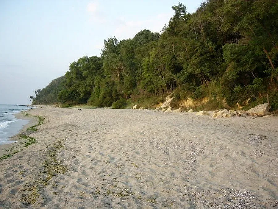 Проверяват строеж на кръчма на Галата