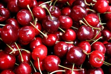 Арестуваха търговец на череши заради боен арсенал   