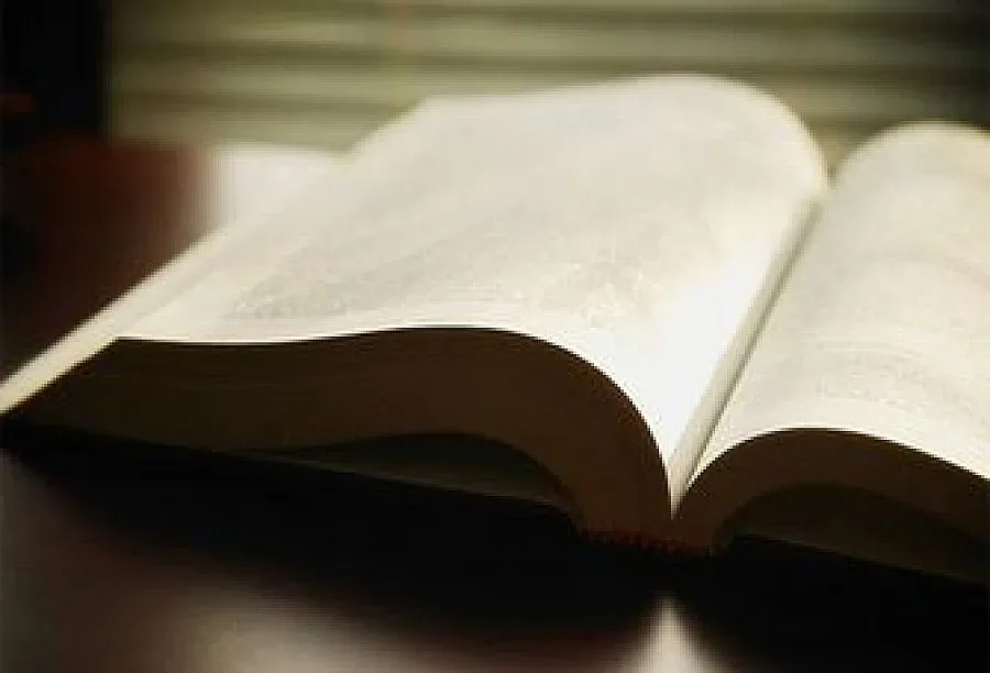 БАН осигури свободен достъп до Речника на българския език