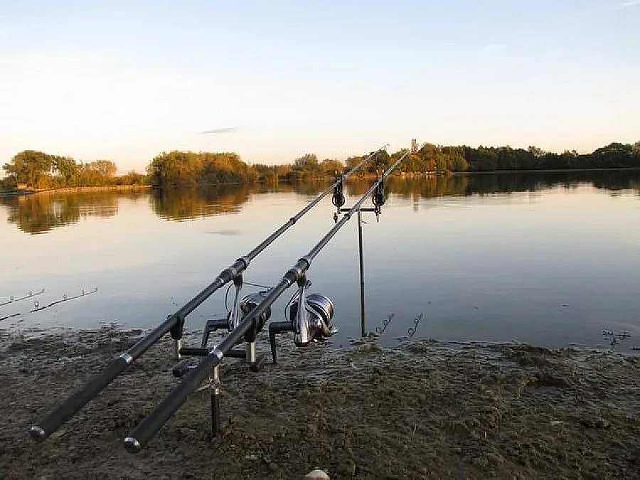 Нов хит: Бебета с риболовни билети