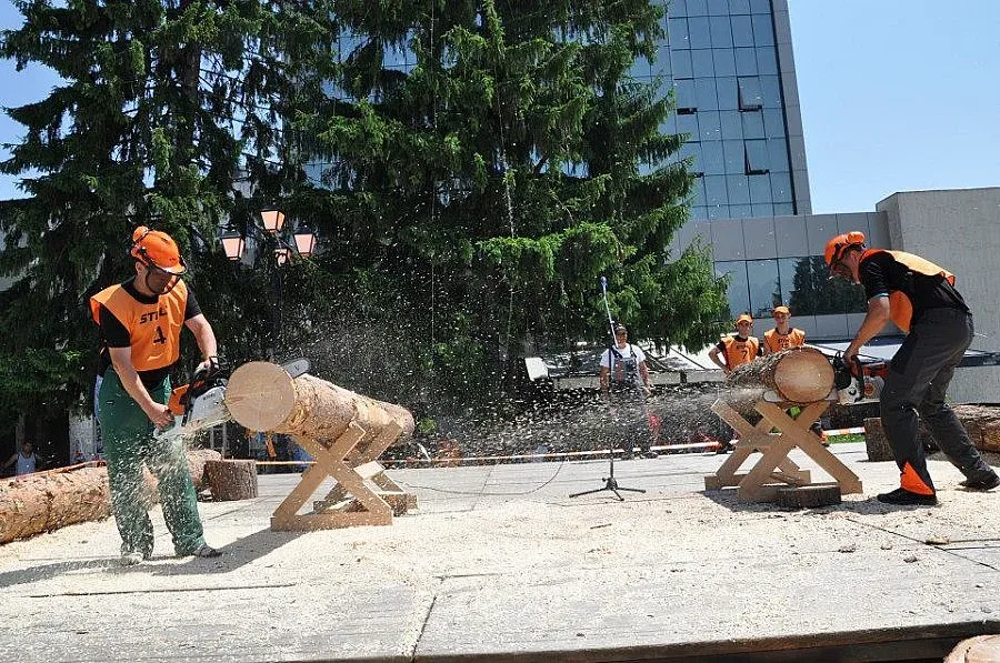 Дървосекачи въртят триони в Разлог