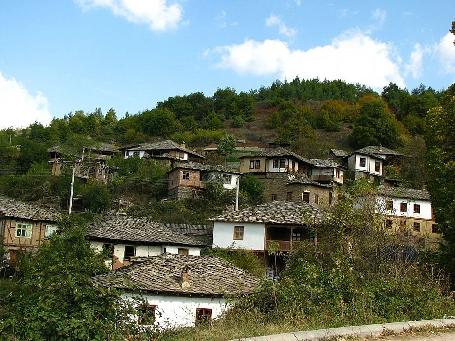 Правят изложби в кметството на Лещен