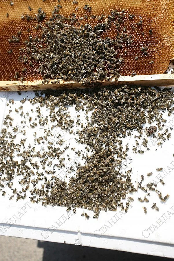 Държавен фонд "Земеделие" одобри 232 нови проекта