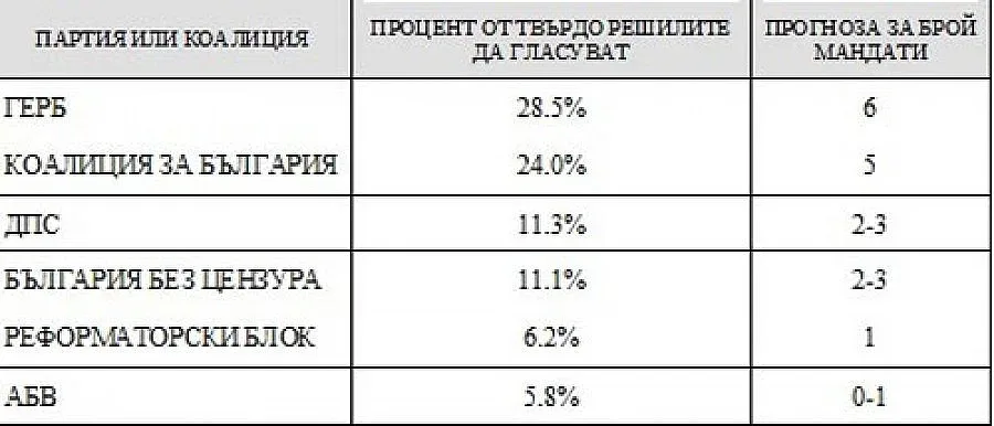 "Екзакта": 6 партии влизат в Европарламента