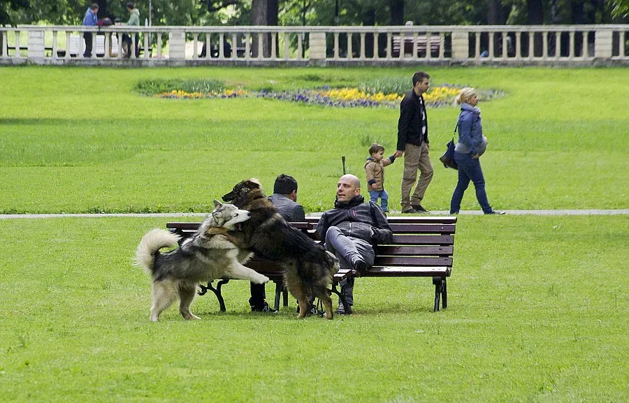 Слънце, с облаци и малко дъжд следобед в четвъртък