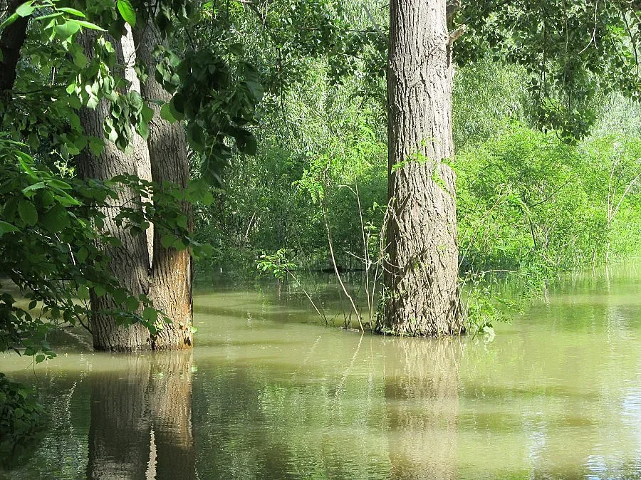 "Инспекция по труда" тръгва по мините