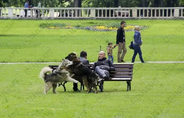 Слънце и следобедни валежи по Черноморието 