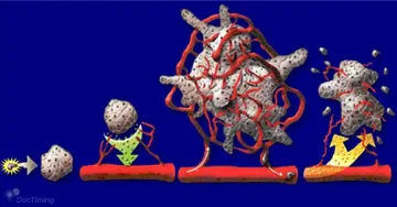 Ракът "умира от глад", когато ядете тези храни