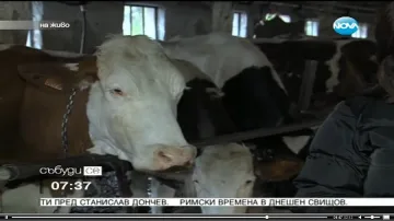 Фермери и животновъди се обединяват в общ протест 