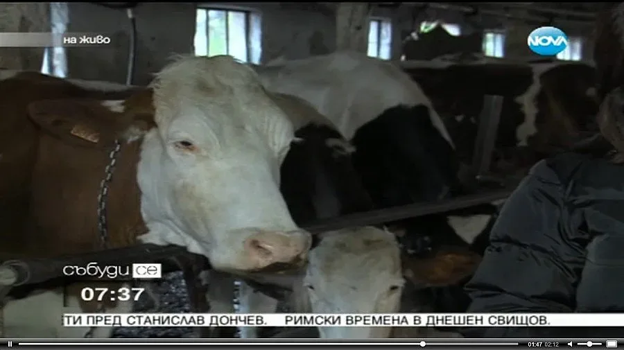 Фермери и животновъди се обединяват в общ протест 