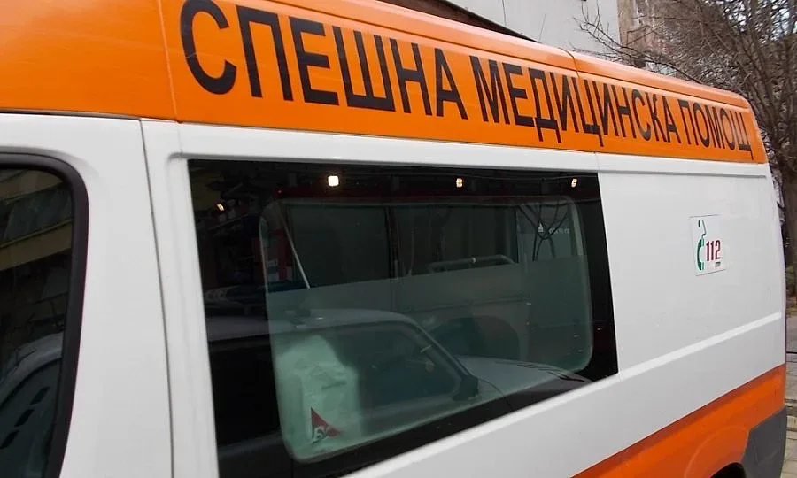 Бензинова резачка закла помориец