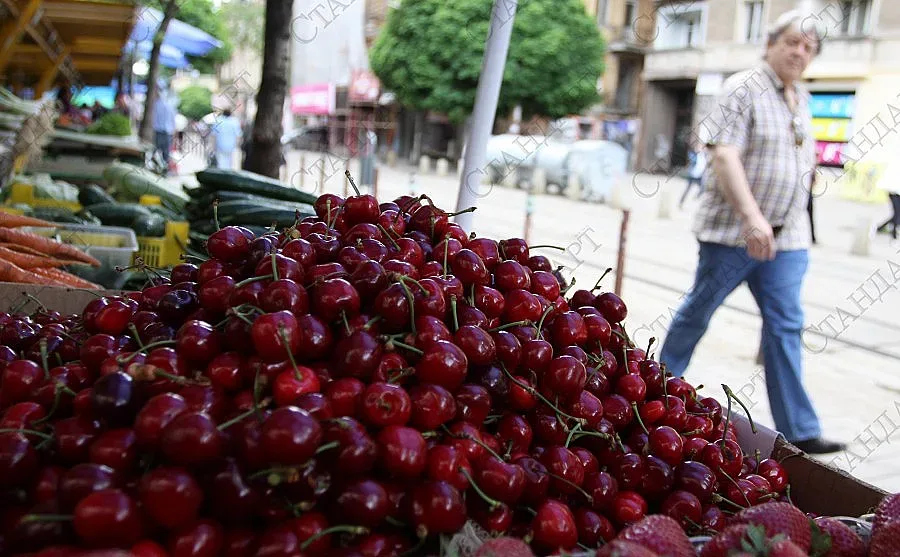 Дъждовете „изядоха” част от черешите и ягодите