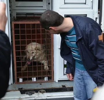 Местят животните от зоопарка в Пловдив в други градове