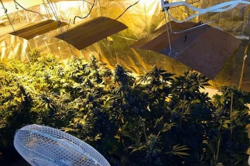 Нарколаборатория с краден ток в село Железница