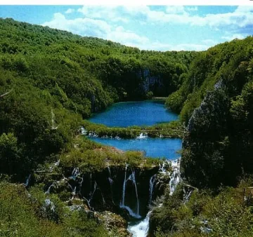 Такса за разходка в хърватските гори