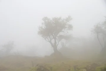 Дъждове и бури в половината страна
