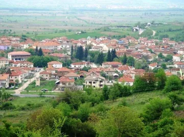 Холандец купи 230 декара земя край село Копривлен