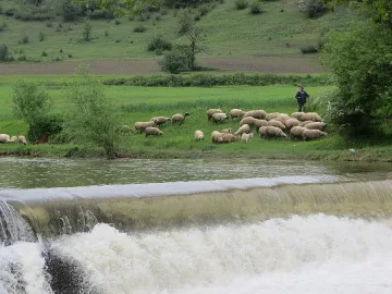 Паника за отровена вода